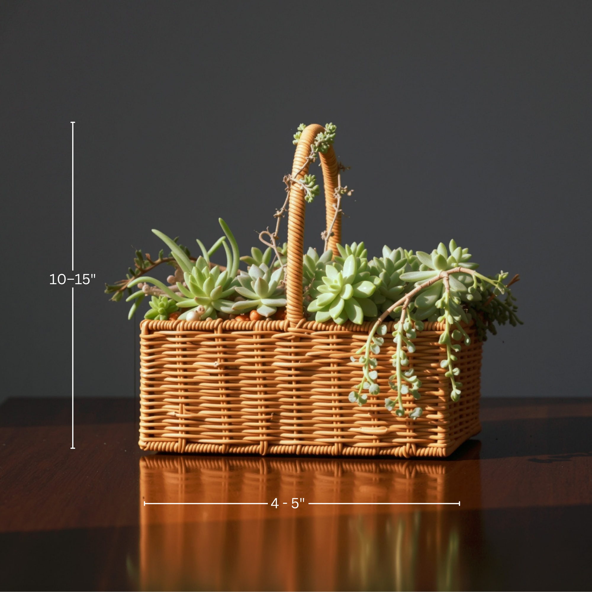 Soil-Free Succulent Cut-Flower System