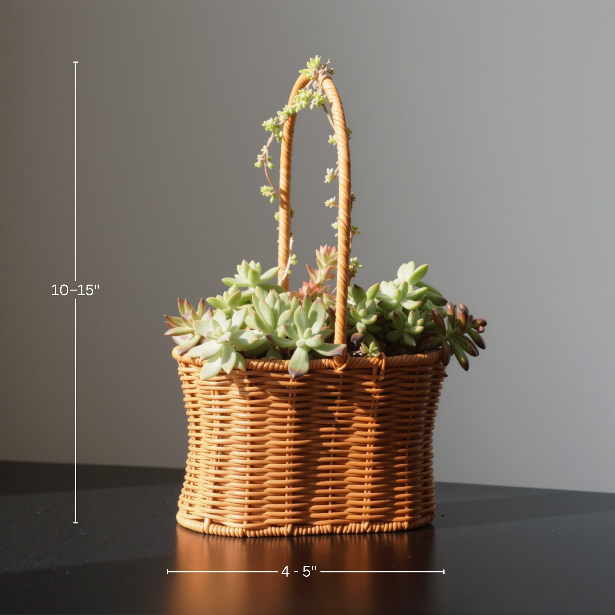 Soil-Free Succulent Cut-Flower System