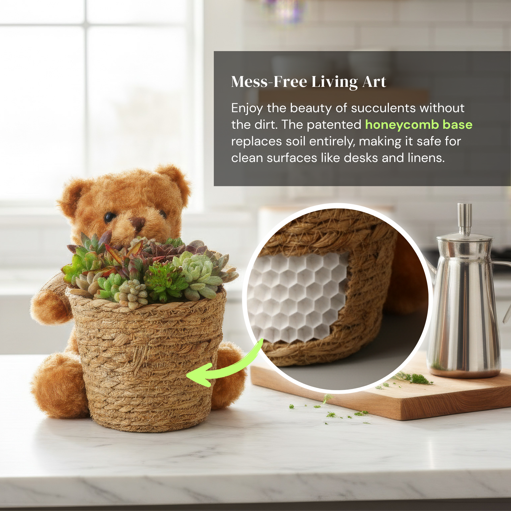Little Bear Soilless Succulent Cuttings Basket – Living Succulent Floral Arrangement with Moisture Base-Clean, Soil-Free, Long-Lasting Décor