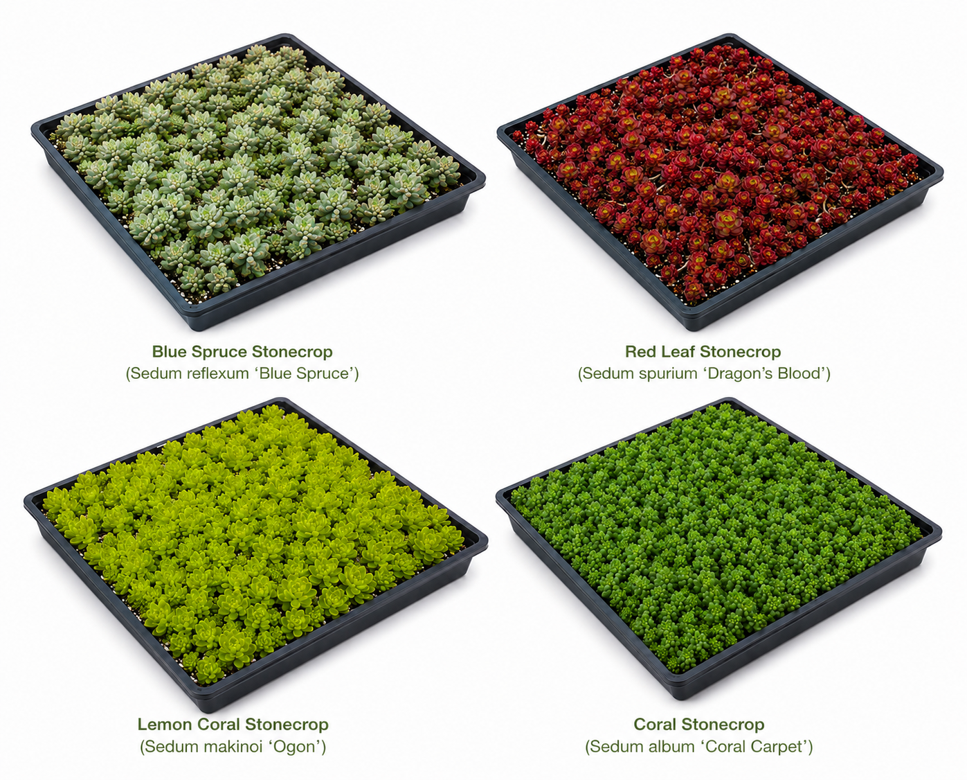 10 sq. ft. Ceramic Pot Garden Kit