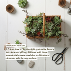 Soil-Free Succulent Cut-Flower System