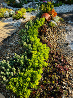 10 sq. ft. Ceramic Pot Garden Kit
