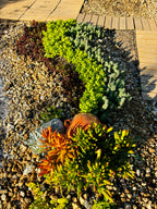 10 sq. ft. Ceramic Pot Garden Kit