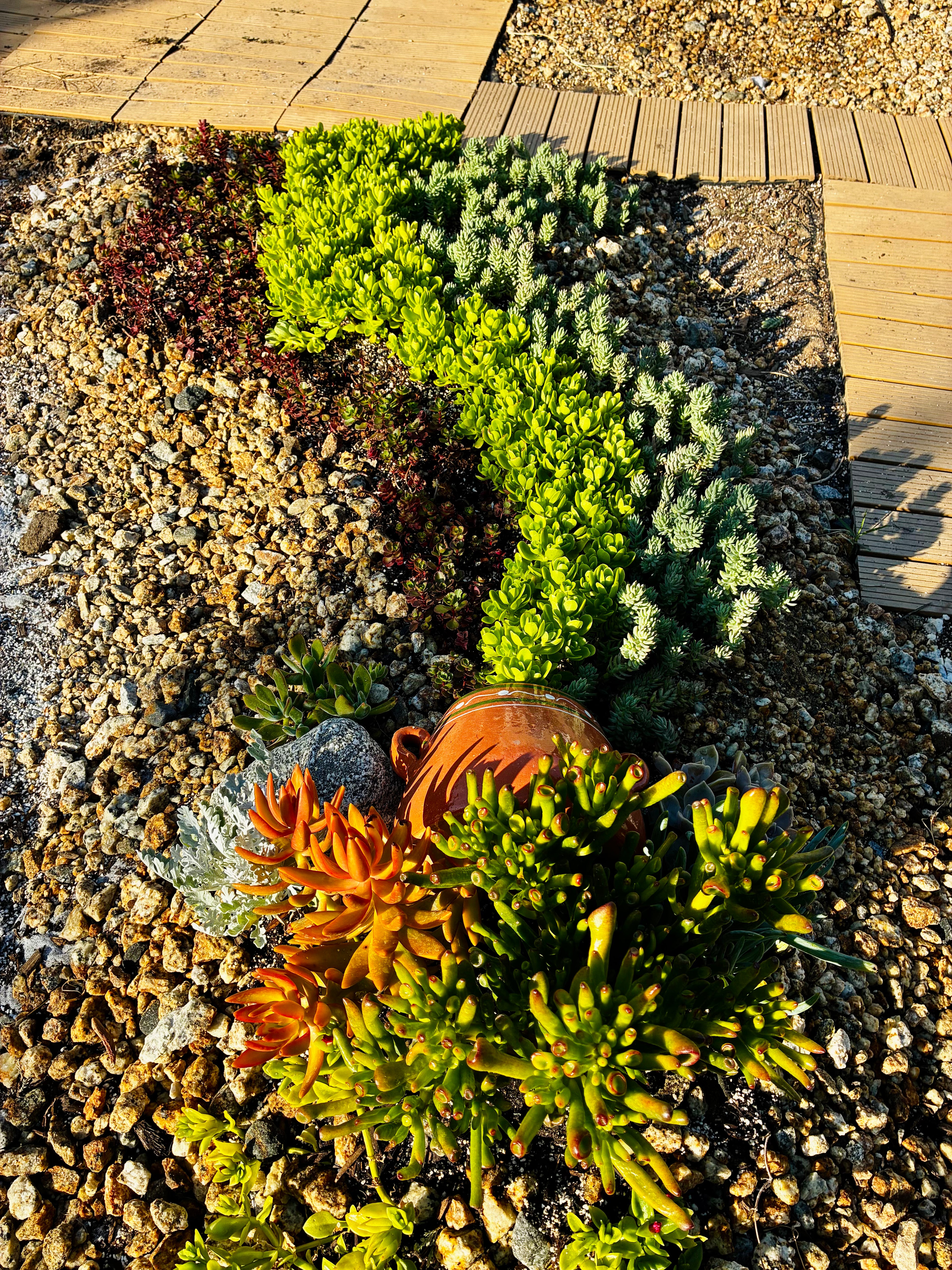 10 sq. ft. Ceramic Pot Garden Kit